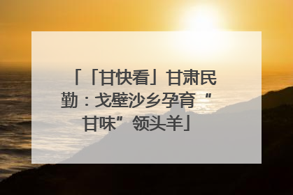 「甘快看」甘肃民勤：戈壁沙乡孕育“甘味”领头羊