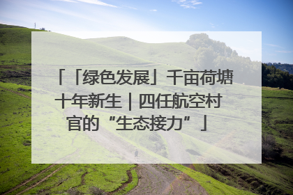 「绿色发展」千亩荷塘 十年新生｜四任航空村官的“生态接力”