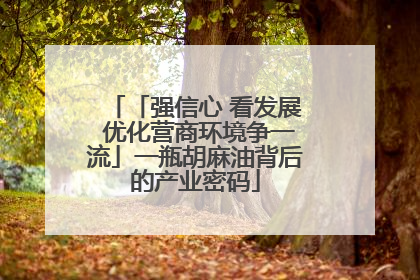 「强信心 看发展 优化营商环境争一流」一瓶胡麻油背后的产业密码