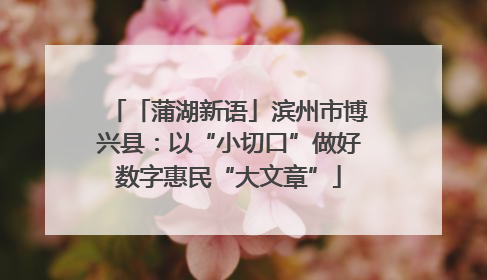 「蒲湖新语」滨州市博兴县：以“小切口”做好数字惠民“大文章”