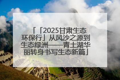 「2025甘肃生态环保行」从风沙之源到生态绿洲——青土湖华丽转身书写生态新篇