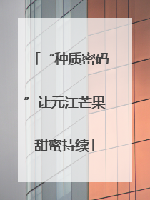 “种质密码”让元江芒果甜蜜持续