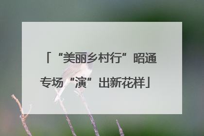 “美丽乡村行”昭通专场“演”出新花样