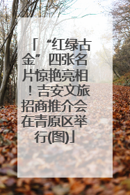 “红绿古金”四张名片惊艳亮相！吉安文旅招商推介会在青原区举行(图)