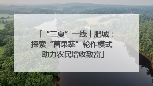 “三夏”一线丨肥城：探索“菌果蔬”轮作模式 助力农民增收致富