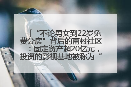 “不论男女到22岁免费分房”背后的南村社区：固定资产超20亿元，投资的影视基地被称为“山村好莱坞”