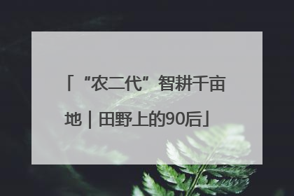 “农二代”智耕千亩地｜田野上的90后