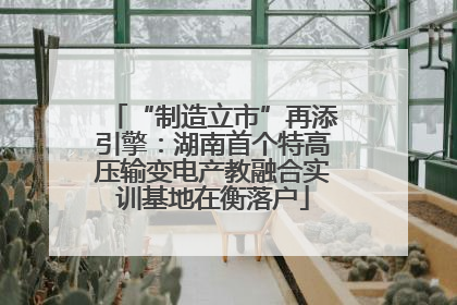 “制造立市”再添引擎：湖南首个特高压输变电产教融合实训基地在衡落户