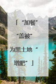 “加餐”“盖被” 为黑土地“增肥”