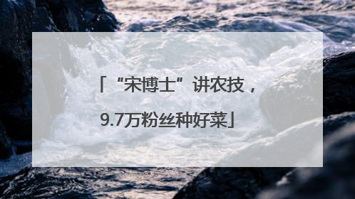 “宋博士”讲农技，9.7万粉丝种好菜
