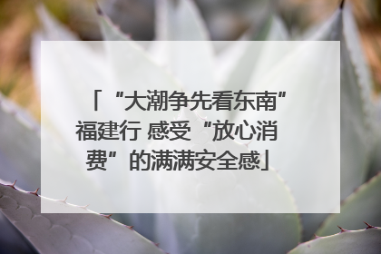 “大潮争先看东南”福建行 感受“放心消费”的满满安全感