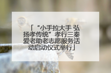 “小手拉大手 弘扬孝传统”孝行三秦爱老助老志愿服务活动启动仪式举行