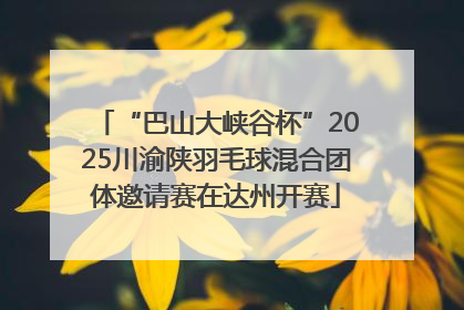 “巴山大峡谷杯”2025川渝陕羽毛球混合团体邀请赛在达州开赛
