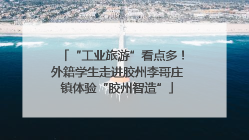 “工业旅游”看点多！外籍学生走进胶州李哥庄镇体验“胶州智造”