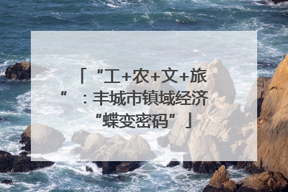 “工+农+文+旅”：丰城市镇域经济“蝶变密码”