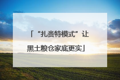 “扎赉特模式”让黑土粮仓家底更实