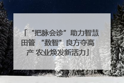 “把脉会诊”助力智慧田管 “数智”良方夺高产 农业焕发新活力