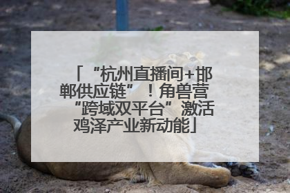 “杭州直播间+邯郸供应链”！角兽营“跨域双平台”激活鸡泽产业新动能