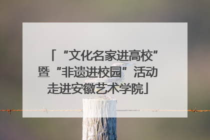 “文化名家进高校”暨“非遗进校园”活动走进安徽艺术学院