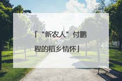 “新农人”付鹏程的稻乡情怀