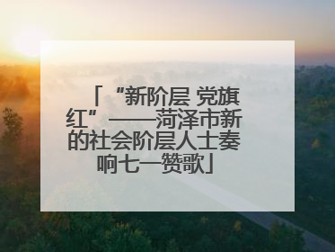 “新阶层 党旗红”——菏泽市新的社会阶层人士奏响七一赞歌