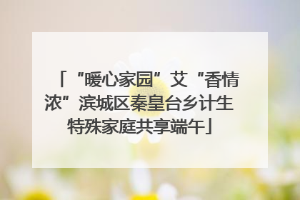 “暖心家园”艾“香情浓”滨城区秦皇台乡计生特殊家庭共享端午