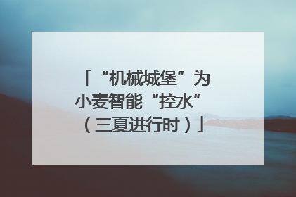 “机械城堡”为小麦智能“控水”（三夏进行时）