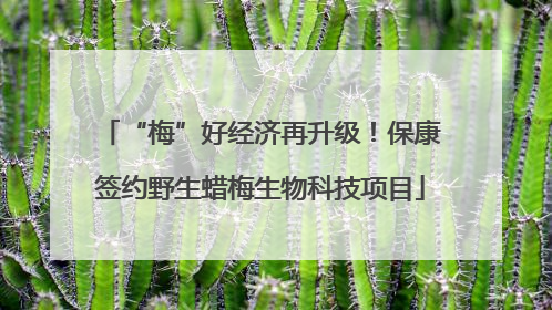 “梅”好经济再升级！保康签约野生蜡梅生物科技项目
