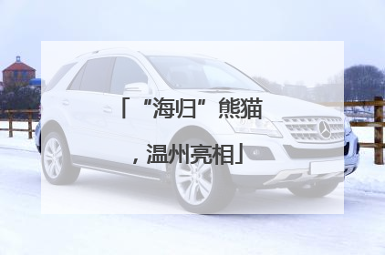 “海归”熊猫，温州亮相