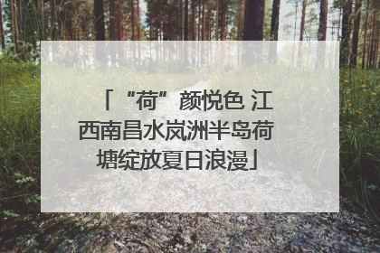 “荷”颜悦色 江西南昌水岚洲半岛荷塘绽放夏日浪漫