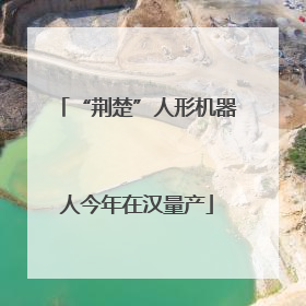 “荆楚”人形机器人今年在汉量产