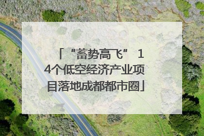 “蓄势高飞” 14个低空经济产业项目落地成都都市圈