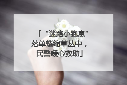 “迷路小狍崽”落单蜷缩草丛中，民警暖心救助