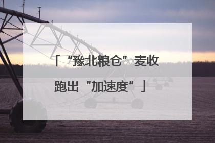 “豫北粮仓”麦收跑出“加速度”