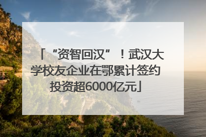 “资智回汉”！武汉大学校友企业在鄂累计签约投资超6000亿元