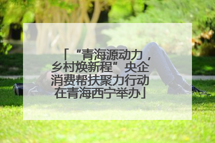 “青海源动力，乡村焕新程”央企消费帮扶聚力行动在青海西宁举办