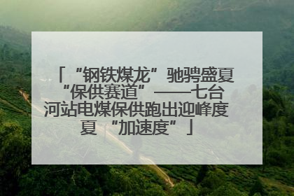 “钢铁煤龙”驰骋盛夏 “保供赛道”——七台河站电煤保供跑出迎峰度夏 “加速度”
