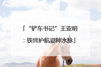 “铲车书记”王亚明：铁臂护航夏种水脉