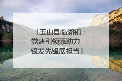 玉山县临湖镇：党建引领添助力 银发先锋展担当