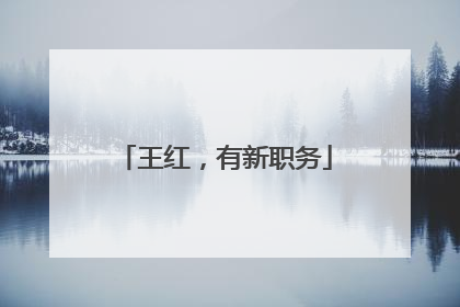王红，有新职务