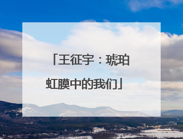 王征宇：琥珀虹膜中的我们