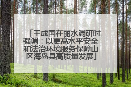 王成国在丽水调研时强调：以更高水平安全和法治环境服务保障山区海岛县高质量发展