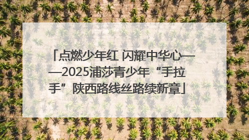 点燃少年红 闪耀中华心——2025浦莎青少年“手拉手”陕西路线丝路续新章