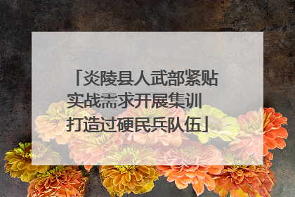 炎陵县人武部紧贴实战需求开展集训 打造过硬民兵队伍