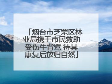 烟台市芝罘区林业局携手市民救助受伤牛背鹭 待其康复后放归自然