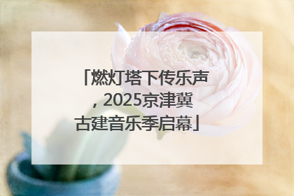 燃灯塔下传乐声，2025京津冀古建音乐季启幕