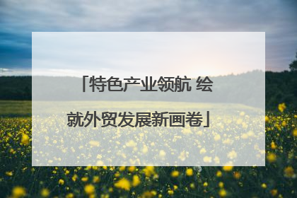 特色产业领航 绘就外贸发展新画卷