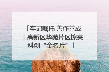 牢记嘱托 善作善成｜高新区华苑片区擦亮科创“金名片”