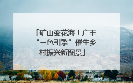 矿山变花海！广丰“三色引擎”催生乡村振兴新图景