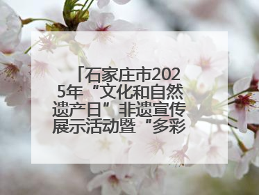 石家庄市2025年“文化和自然遗产日”非遗宣传展示活动暨“多彩石家庄·非遗购物节”倒计时1天